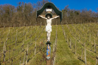 /album/rund-um-den-konigsberg-vulkanland-6-marz-2025/tieschen-kloch-06-03-2025-39-jpg/